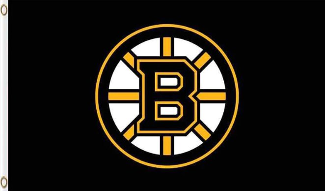 Boston Bruins Flag 3x5ft-1
