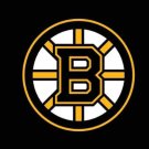 Boston Bruins Flag 3x5ft-1
