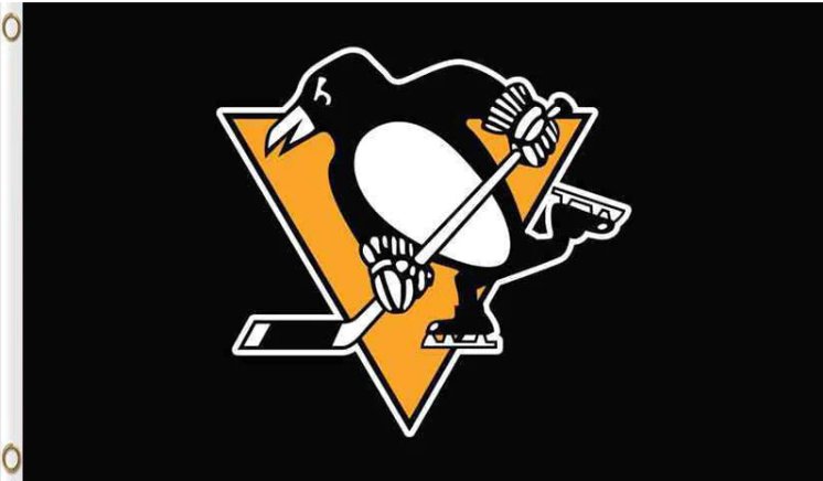 Pittsburgh Penguins Flag 3x5ft-2