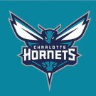 Charlotte Hornets Flag 3x5ft-2