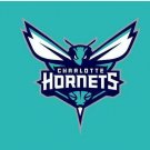 Charlotte Hornets Flag 3x5ft-1