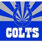 Indianapolis Colts Flag 3x5ft-6