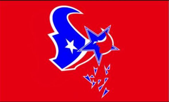 Houston Texans Flag 3x5ft-7