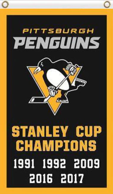 Pittsburgh Penguins Champions Flag 3x5ft-1