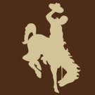 Wyoming Cowboys Flag 3x5ft-1