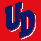 Dayton Flyers Flag 3x5ft-4