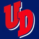 Dayton Flyers Flag 3x5ft-2