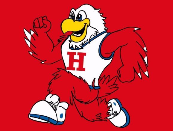 Hartford Hawks Flag 3x5ft-3