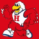 Hartford Hawks Flag 3x5ft-3