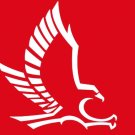 Hartford Hawks Flag 3x5ft-2