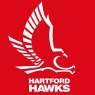 Hartford Hawks Flag 3x5ft-1