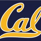 California Golden Bears Hand Flag 3x5ft-3