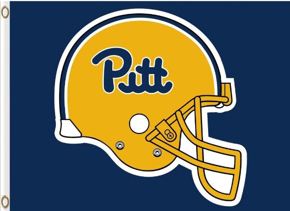 Pittsburgh Panthers Flag 3x5ft-3