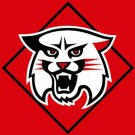 Davidson Wildcats Flag 3x5ft-1