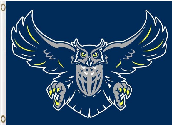 Rice Owls Hand Flag 3x5ft-3