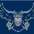 Rice Owls Hand Flag 3x5ft-3