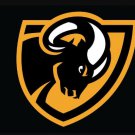 VCU Rams Flag 3x5ft-8
