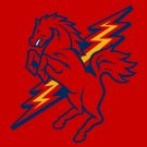 St John's Red Storm Sports Team Flag 3x5ft-3