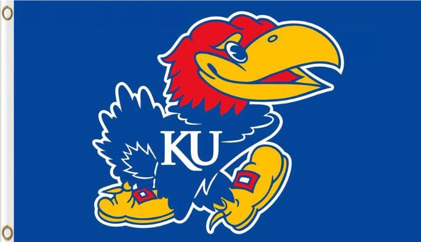 Kansas Jayhawks Hand Flag 3x5ft-3
