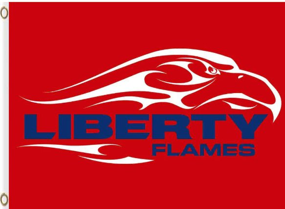 Liberty Flames Hand Flag 3x5ft-3