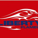 Liberty Flames Hand Flag 3x5ft-3