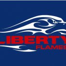 Liberty Flames Hand Flag 3x5ft-1