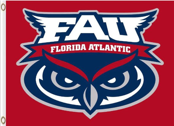 Florida Atlantic Owls Flag 3x5ft-4