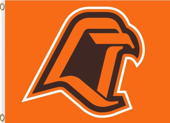 Bowling Green Falcons Hand Flag 3x5ft-3