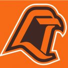 Bowling Green Falcons Hand Flag 3x5ft-3