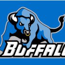 Buffalo Bulls Hand Flag 3x5ft-1