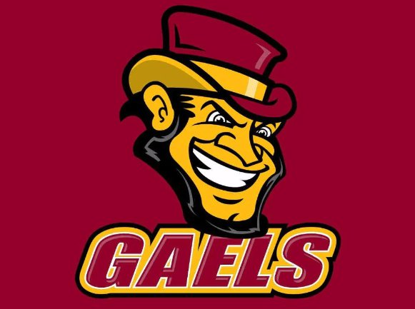 Iona Gaels Hand Banners Flag 3x5ft