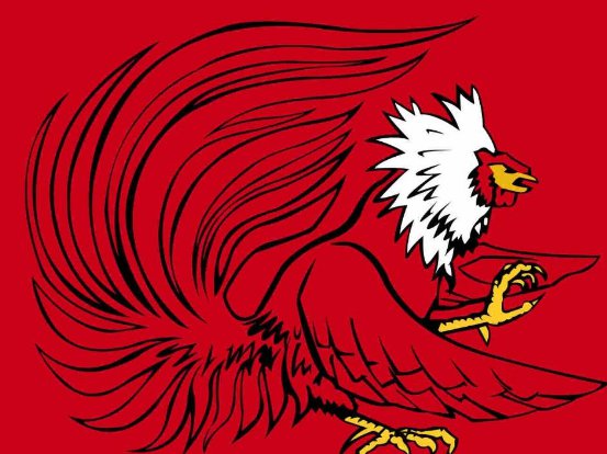 Jacksonville State Gamecocks Hand Flag 3x5ft-2
