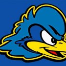 Delaware Fightin' Blue Hens Hand Flag 3x5ft-3