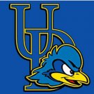 Delaware Fightin' Blue Hens Hand Flag 3x5ft-2