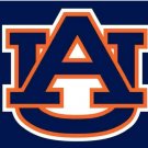 Auburn Tigers Hand Flag 3x5ft-2