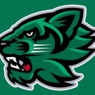 Binghamton Bearcats Hand Flag 3x5ft-3