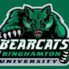 Binghamton Bearcats Hand Flag 3x5ft-1