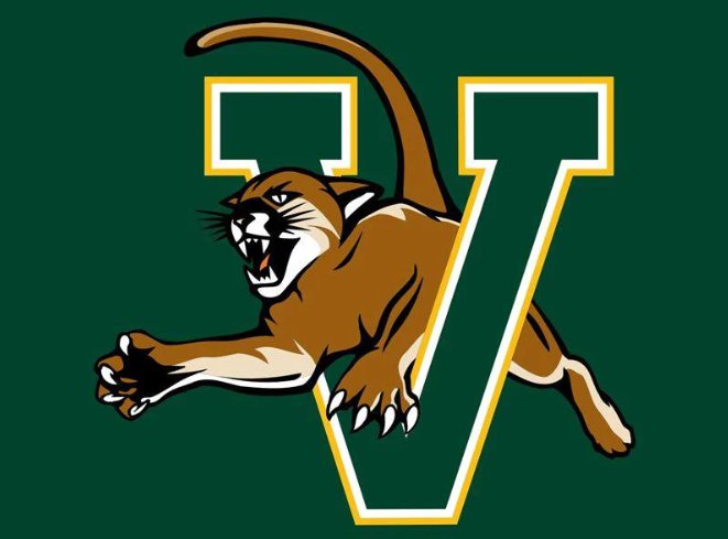 Vermont Catamounts Flag 3x5ft-1