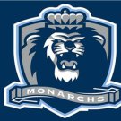 Old Dominion Monarchs Digital Printing Sports Flag 3x5ft-3
