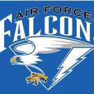Air Force Falcons Logo Flag 3x5ft-1