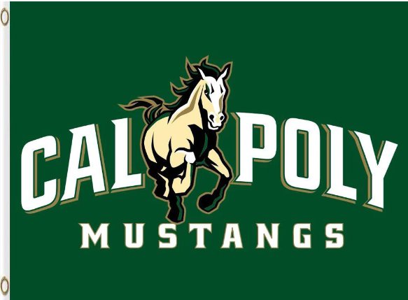 Cal Poly Mustangs Hand Flag 3x5ft-1