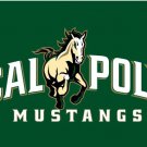 Cal Poly Mustangs Hand Flag 3x5ft-1
