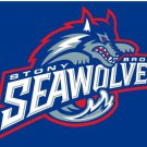 Stony Brook Seawolves Flag 3x5ft-1