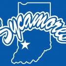 Indiana State Sycamores Hand Flag 3x5ft-3