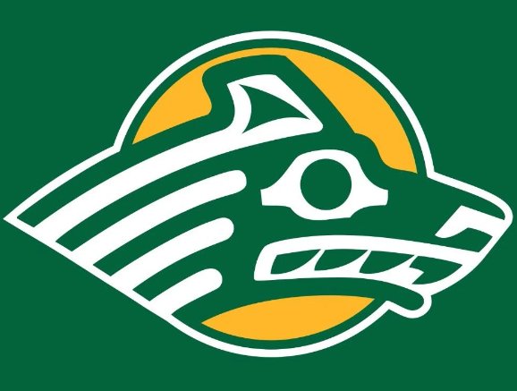 Alaska Anchorage Seawolves Logo Hand Flag 3x5ft-1