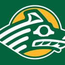 Alaska Anchorage Seawolves Logo Hand Flag 3x5ft-1