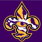 Louisiana State Tigers Hand Flag 3x5ft-9