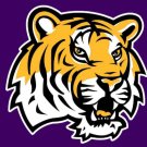 Louisiana State Tigers Hand Flag 3x5ft-7