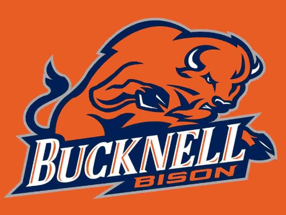 Bucknell Bison Hand Flag 3x5ft-4