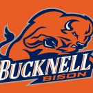 Bucknell Bison Hand Flag 3x5ft-4